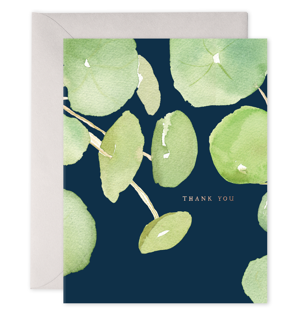Pancake Plant Pilea Plant | Thank You Greeting Card: 4.25 X 5.5 INCHES