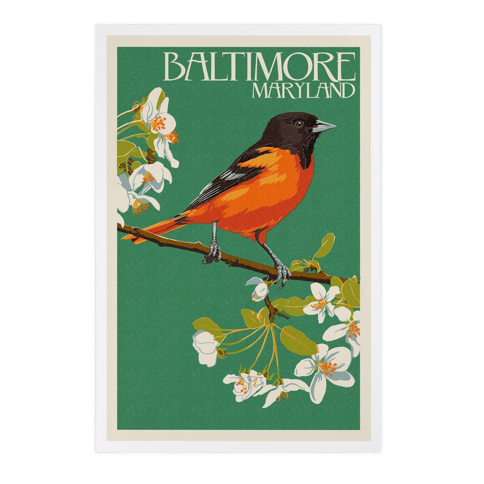 PREMIUM POSTCARDS Baltimore, Maryland, Oriole Letterpress