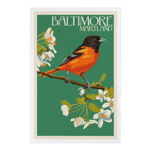 PREMIUM POSTCARDS Baltimore, Maryland, Oriole Letterpress