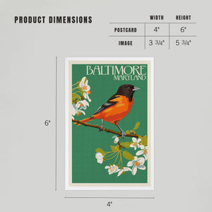 PREMIUM POSTCARDS Baltimore, Maryland, Oriole Letterpress