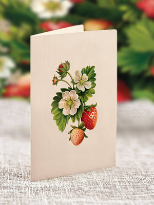 Strawberry Blossom (8 Pop-up Greeting Cards)
