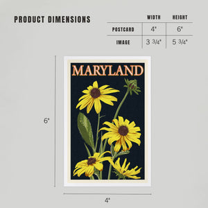 PREMIUM POSTCARDS Maryland, Black Eyed Susan, Letterpress