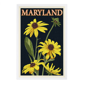 PREMIUM POSTCARDS Maryland, Black Eyed Susan, Letterpress