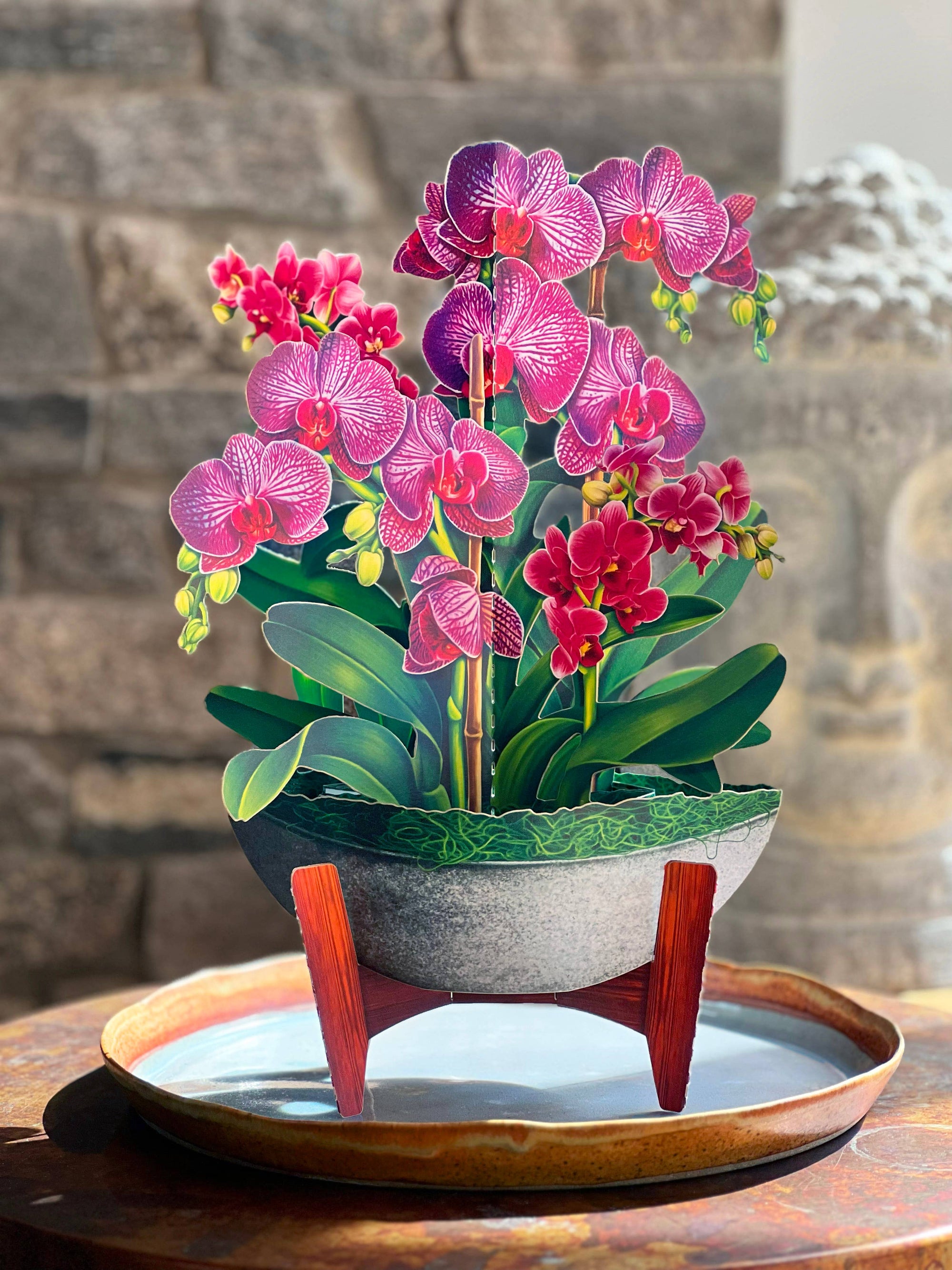 Orchid Oasis (Pop-up Greeting Cards)