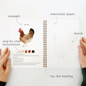 Animals watercolor workbook