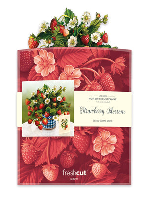 Strawberry Blossom (8 Pop-up Greeting Cards)