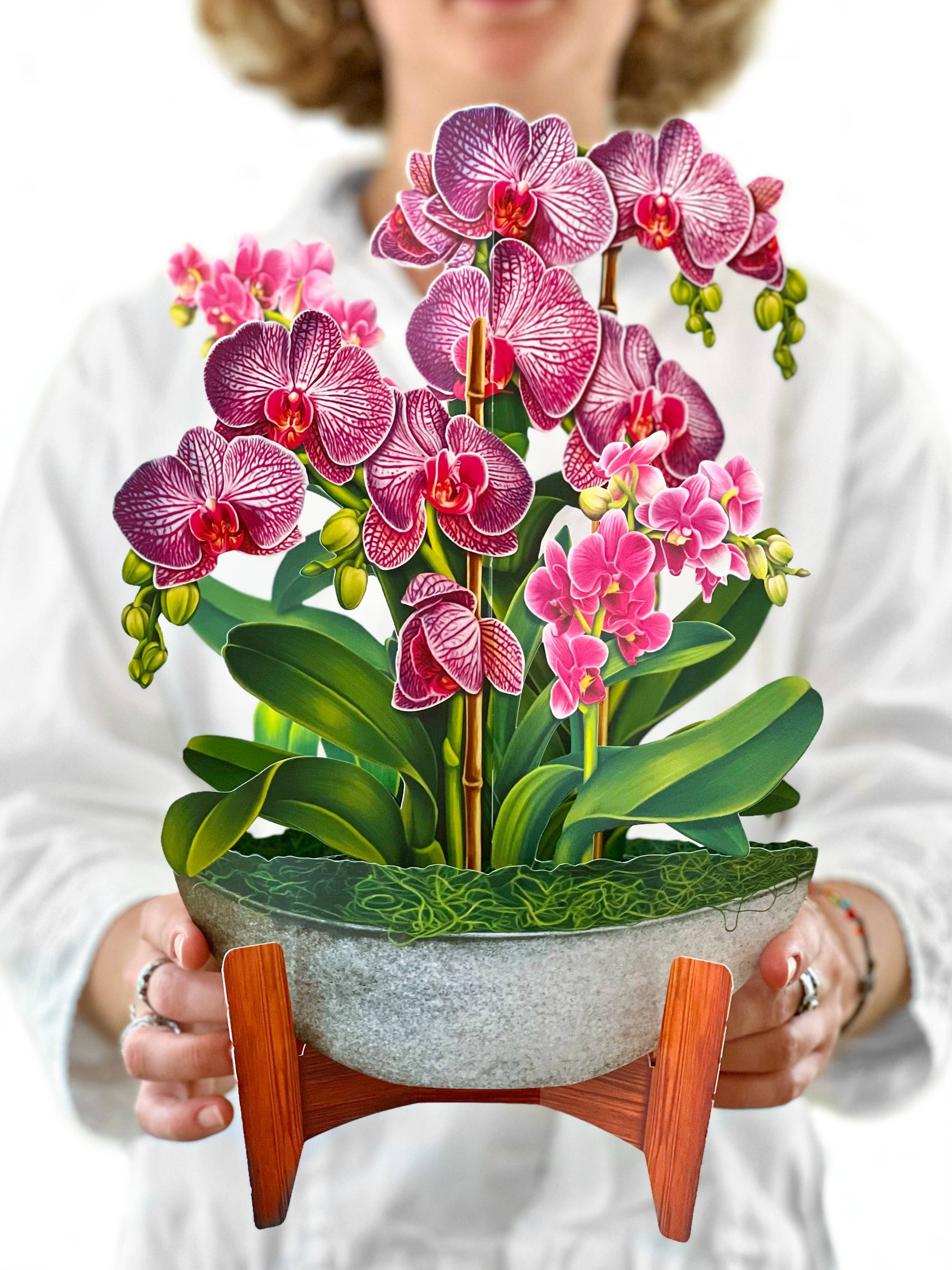 Orchid Oasis (Pop-up Greeting Cards)