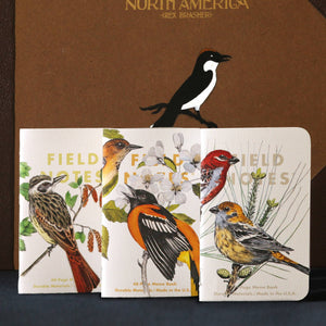 Birds and Trees of North America: Pack A: Screech Owl - Blue Jay - Brewer Sparrow