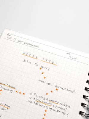 Commonplace Notebook Set: Pocket Plus / A5 / HP Classic