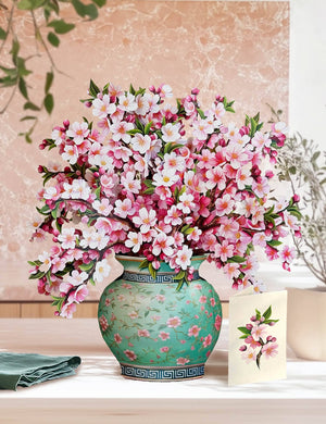 Japanese Cherry Blossoms