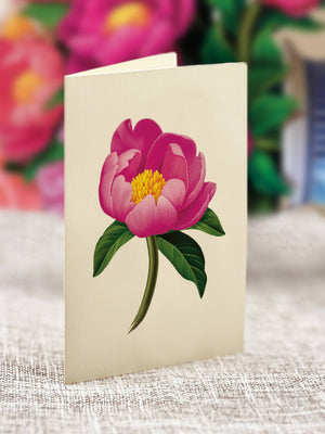 Peony Paradise (Pop-up Greeting Cards)