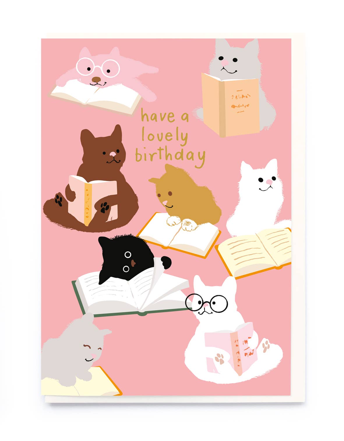 BIRTHDAY CATS GREETING CARD NOI