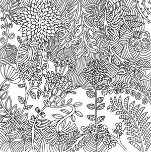 Serenity Artist's Coloring Book