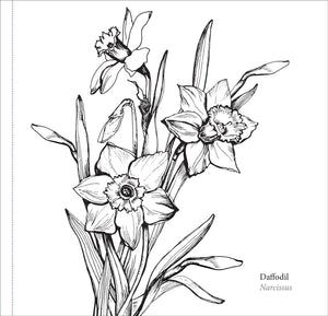 Spring Blooms Artist's Coloring Book