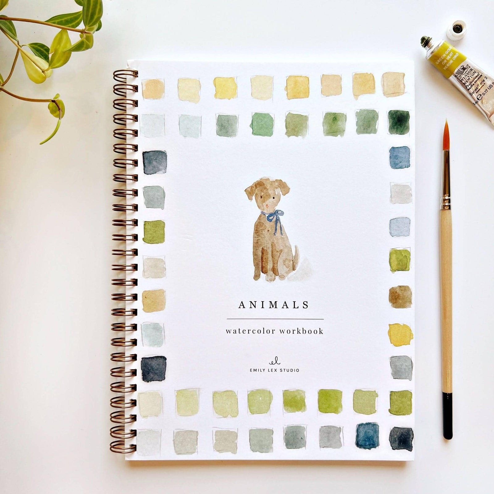 Creative Supplies