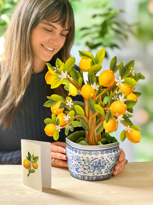 Lemon Blossom Tree (Pop-up Greeting Cards)