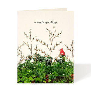 Cardinal and Evergreen - Holiday Christmas Cards