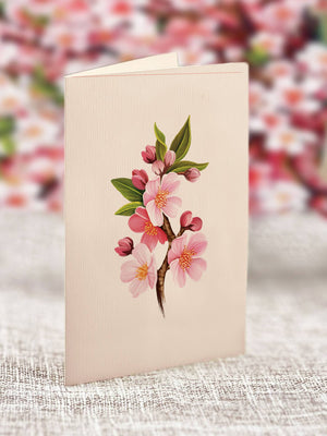 Japanese Cherry Blossoms