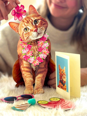 Orange Tabby