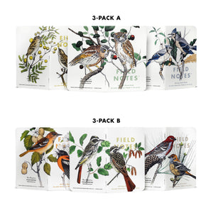 Birds and Trees of North America: Pack B: Pine Grosbeak - Baltimore Oriole - Sulphurbelly Flycatcher