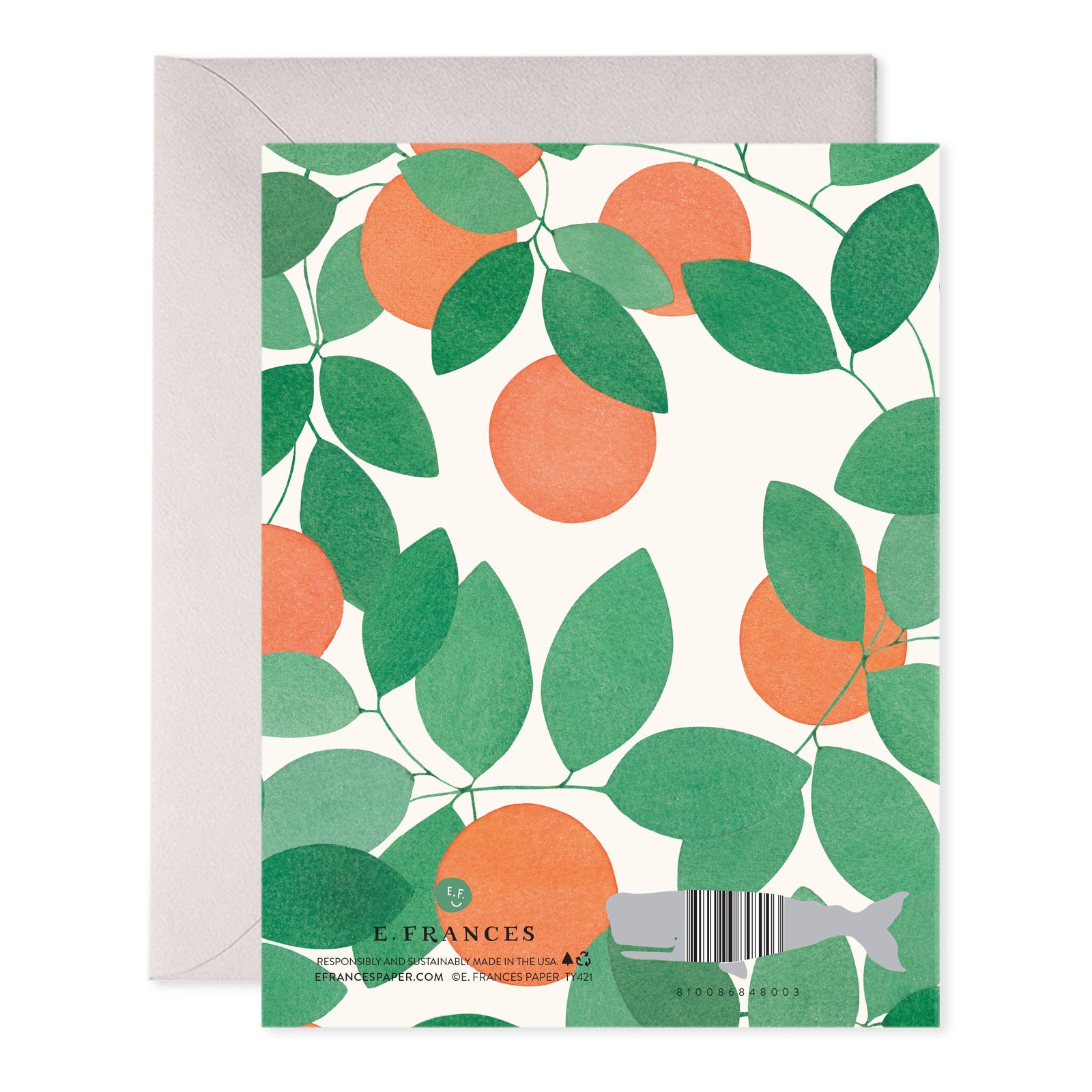 Orange Grove Thank You Greeting Card