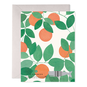 Orange Grove Thank You Greeting Card