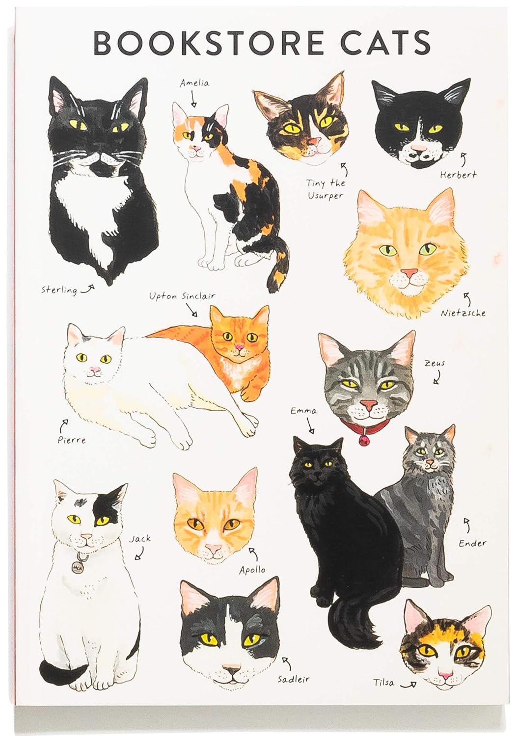 Bibliophile Flexi Journal: Bookstore Cats