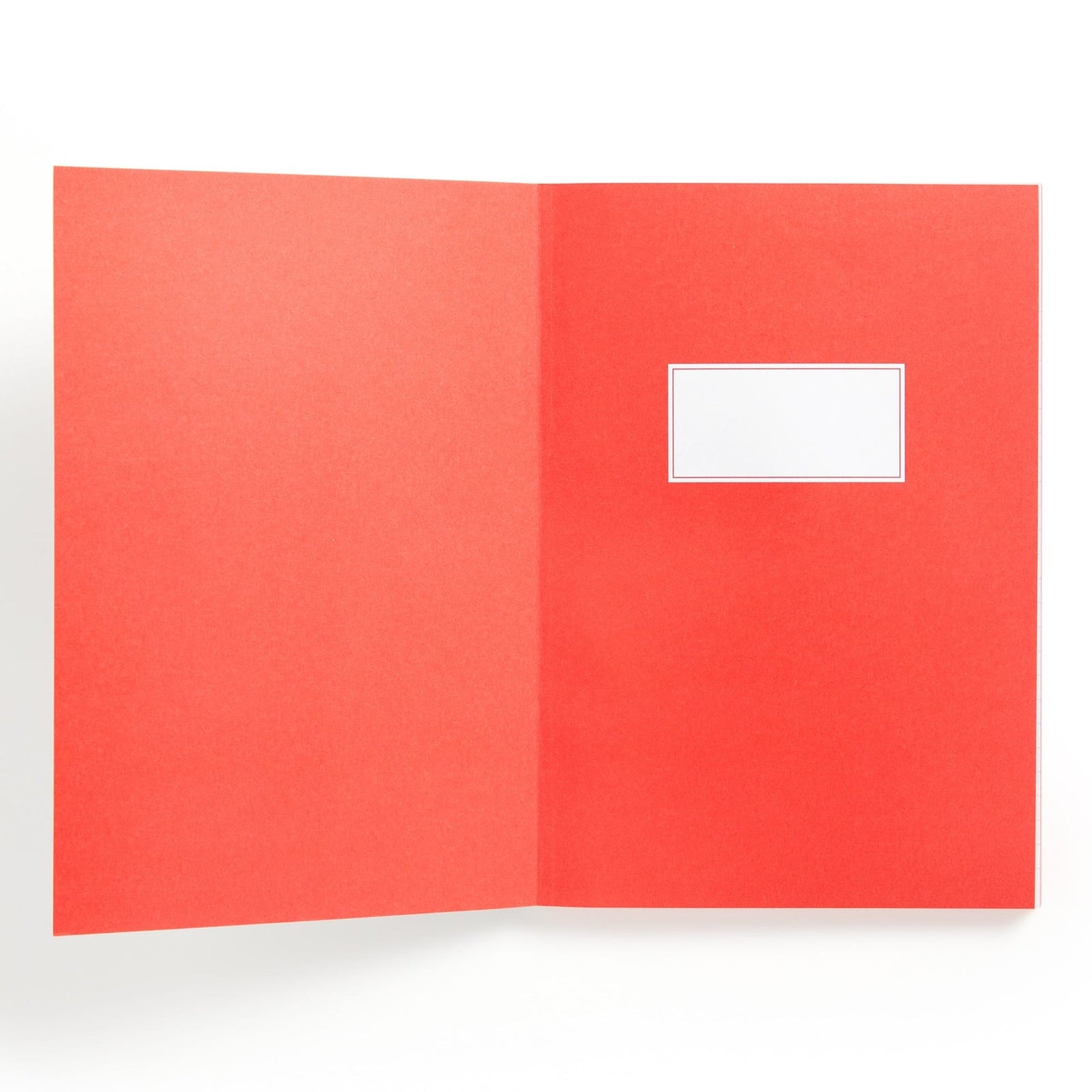 I Read Banned Books A5 Journal