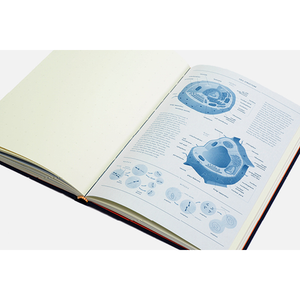 Grids & Guides: A Notebook for Visual Thinkers