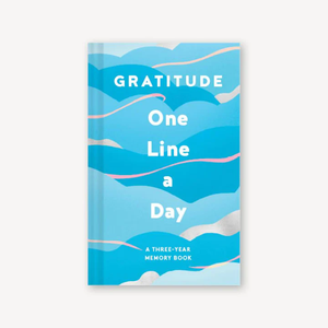 One Line A Day Journal