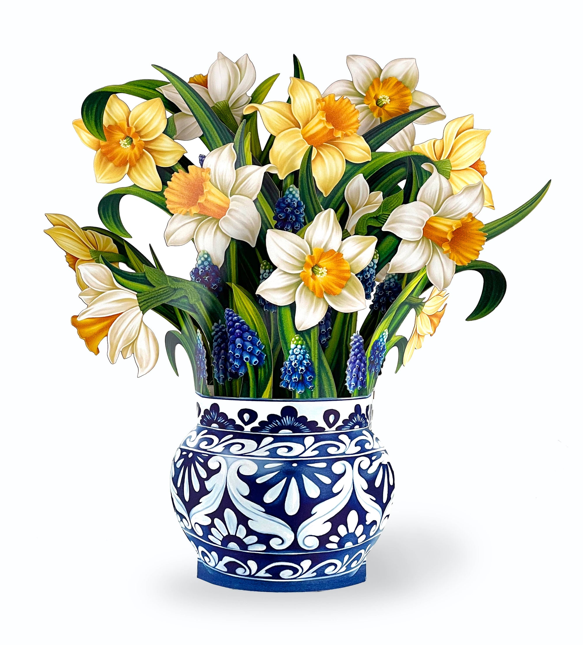 English Daffodils (Pop-up Greeting Cards)