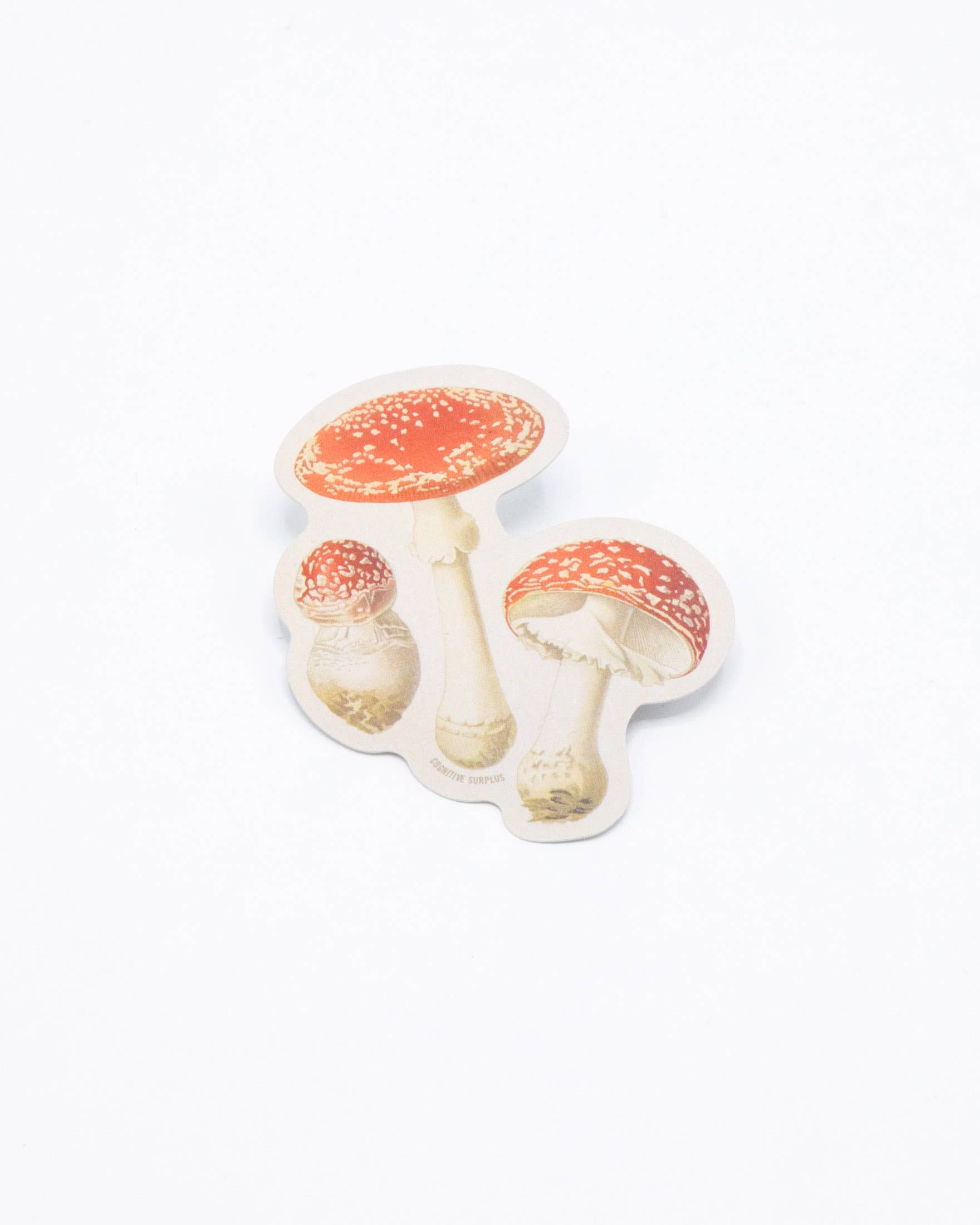 FlyAgaric Poisonous Mushrooms