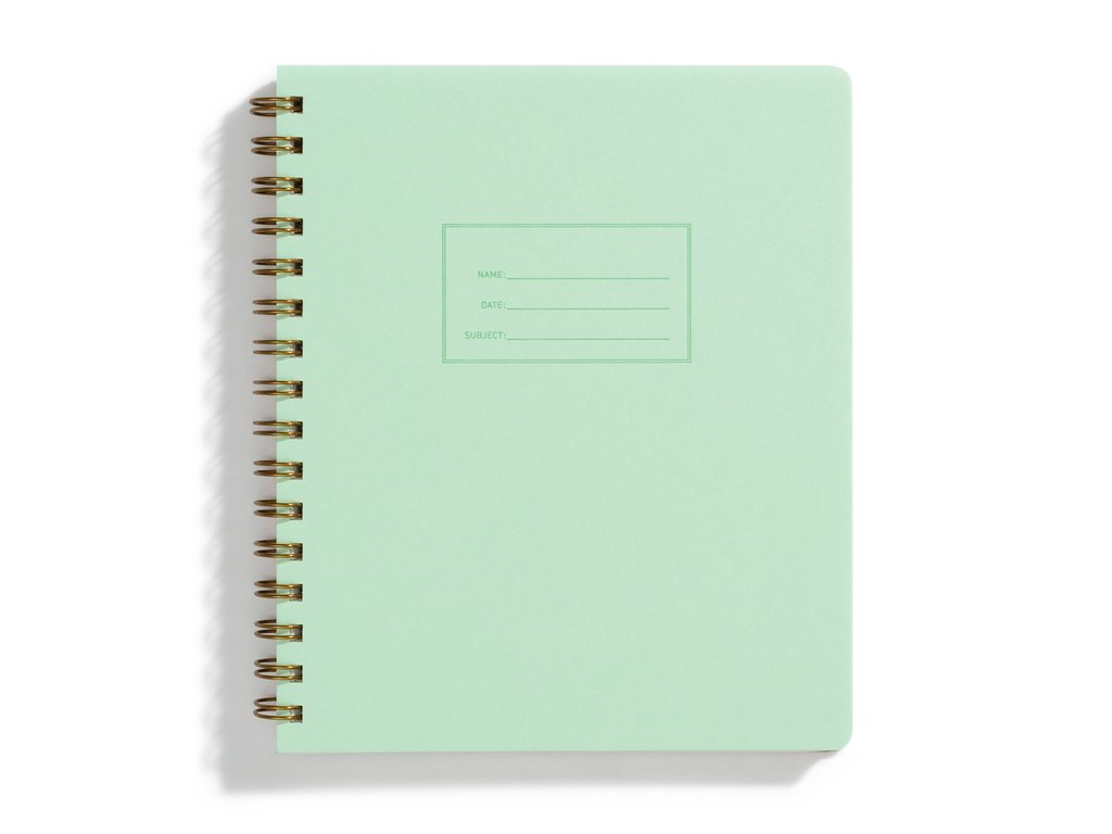 Standard Notebook - Mint (Lined)