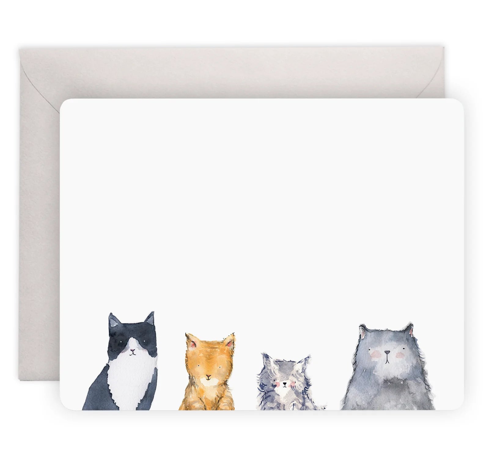 Cat's Meow Flat Notes Box Set