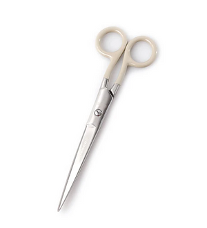 Stainless Steel Scissors - Large